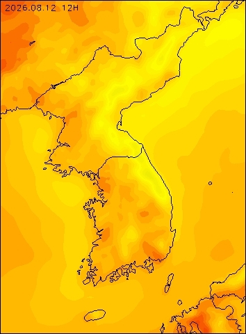 2026-08-12 12 : 00