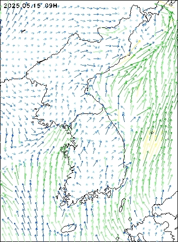2025-05-15 09 : 00