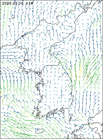 2025-05-16 11 : 00