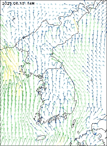 2025-06-15 14 : 00