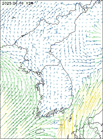 2025-06-16 12 : 00