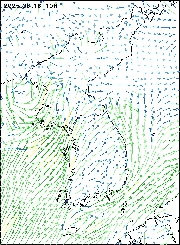 2025-06-16 19 : 00