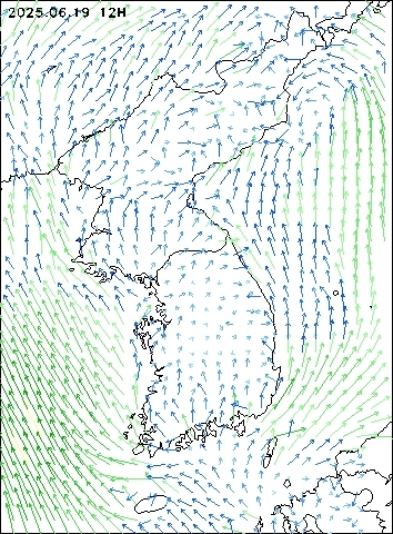 2025-06-19 12 : 00