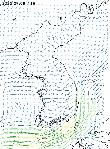 2025-07-09 11 : 00