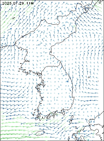2025-07-29 11 : 00