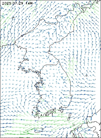2025-07-29 14 : 00