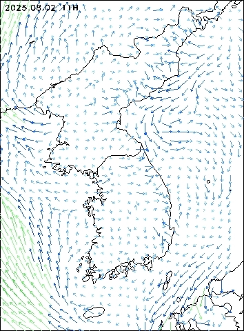 2025-08-02 11 : 00