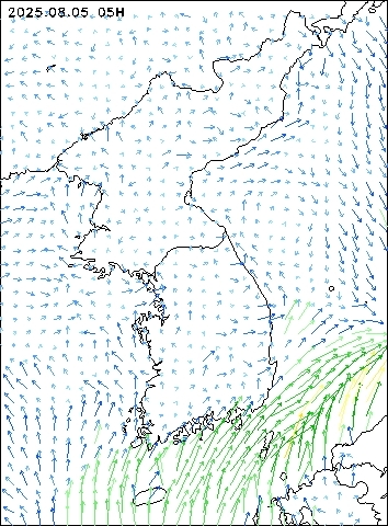 2025-08-05 05 : 00
