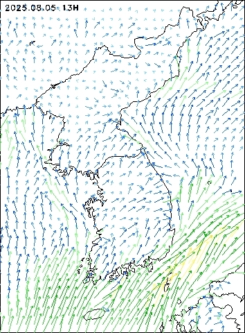 2025-08-05 13 : 00