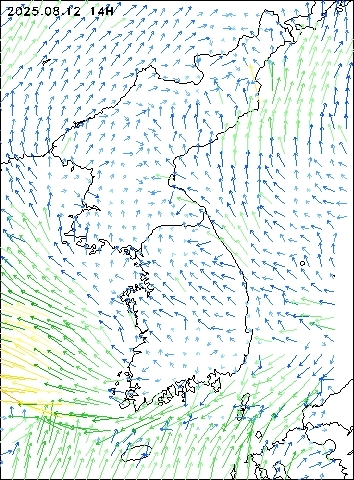 2025-08-12 14 : 00