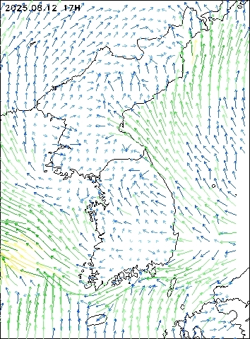 2025-08-12 17 : 00