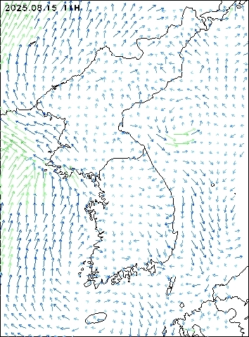2025-08-15 11 : 00