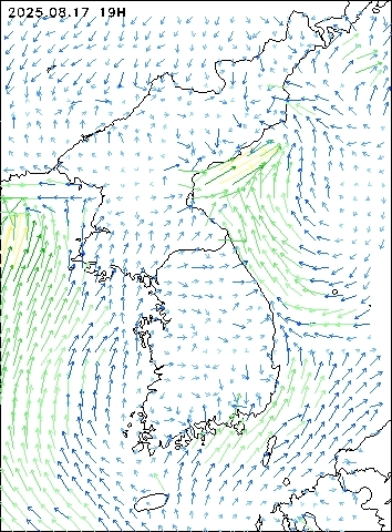 2025-08-17 19 : 00
