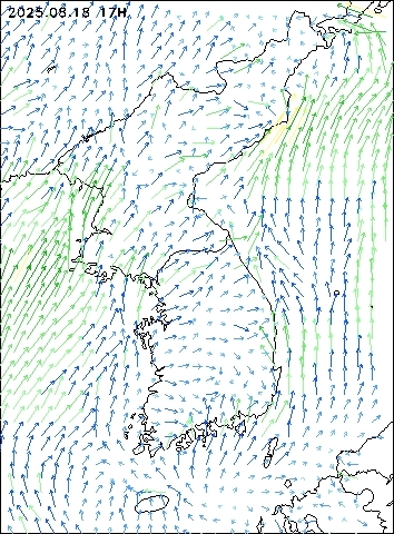 2025-08-18 17 : 00