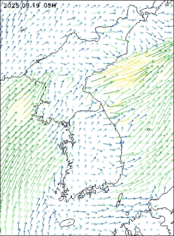 2025-08-19 05 : 00