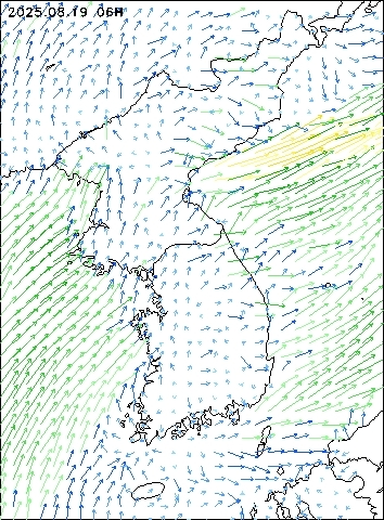 2025-08-19 06 : 00