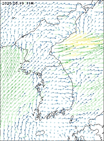2025-08-19 11 : 00