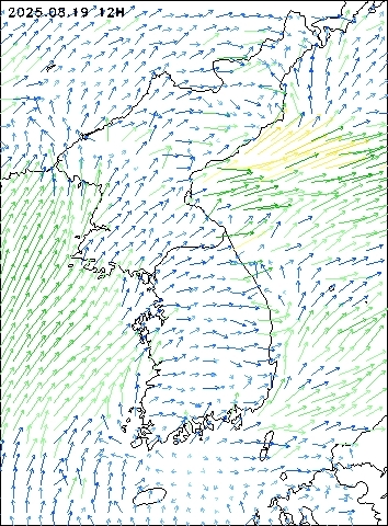 2025-08-19 12 : 00