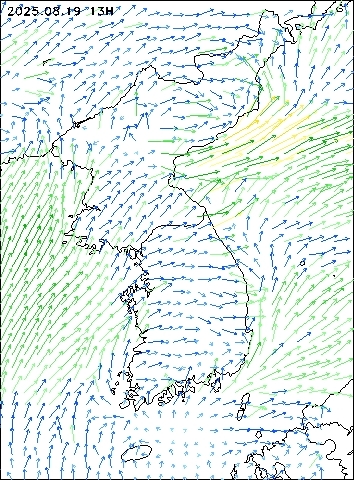 2025-08-19 13 : 00