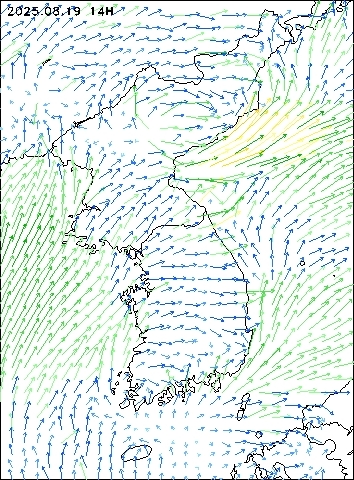 2025-08-19 14 : 00