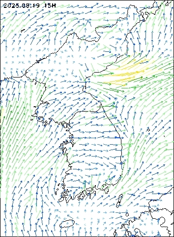 2025-08-19 15 : 00