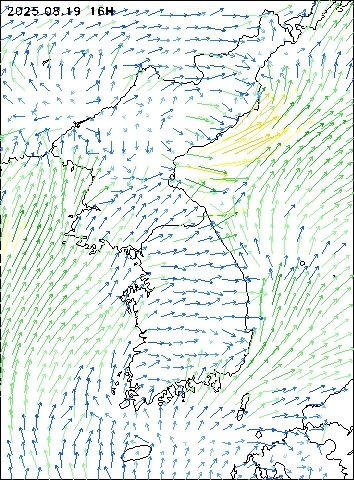 2025-08-19 16 : 00