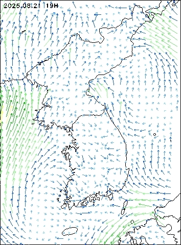 2025-08-21 19 : 00