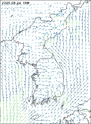 2025-08-24 16 : 00