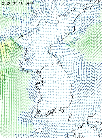 2026-05-10 06 : 00