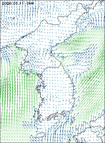 2026-05-11 06 : 00