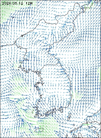 2026-05-12 12 : 00