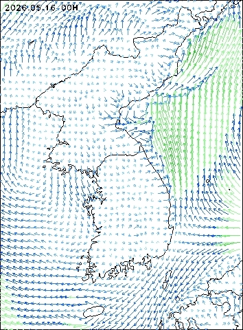 2026-05-16 00 : 00