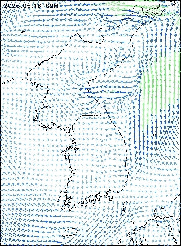2026-05-16 09 : 00