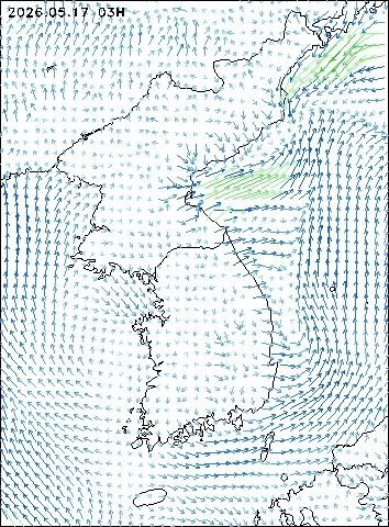 2026-05-17 03 : 00