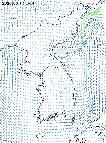 2026-05-17 06 : 00