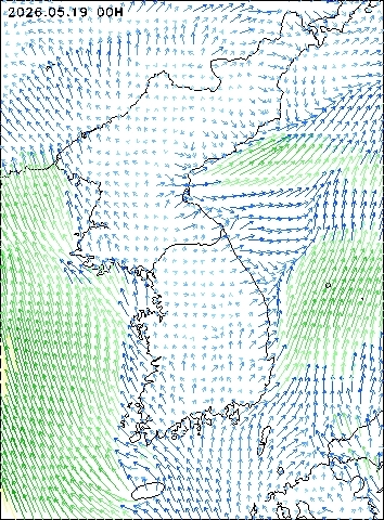 2026-05-19 00 : 00