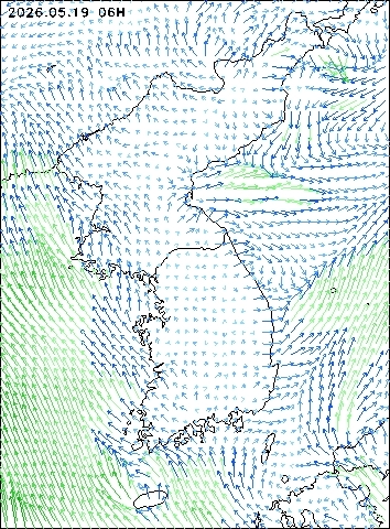2026-05-19 06 : 00