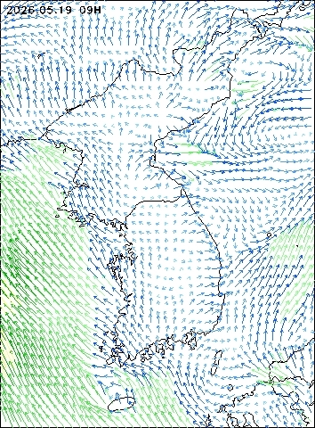 2026-05-19 09 : 00