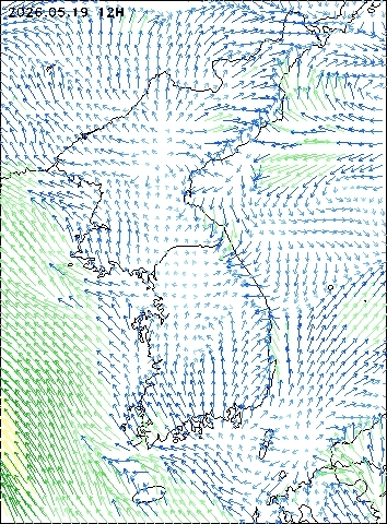 2026-05-19 12 : 00
