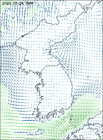 2026-05-24 06 : 00