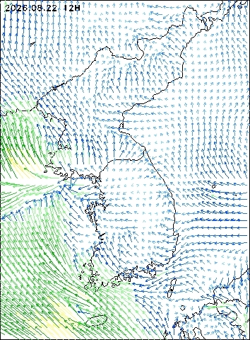 2026-08-22 12 : 00