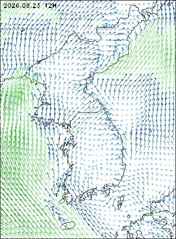 2026-08-23 12 : 00