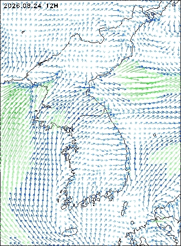 2026-08-24 12 : 00