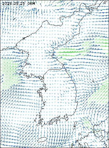 2026-08-25 06 : 00