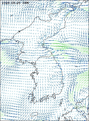 2026-08-25 09 : 00
