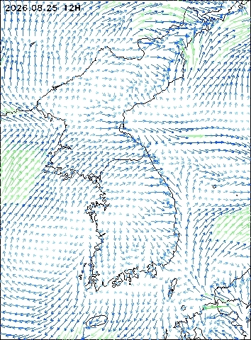 2026-08-25 12 : 00